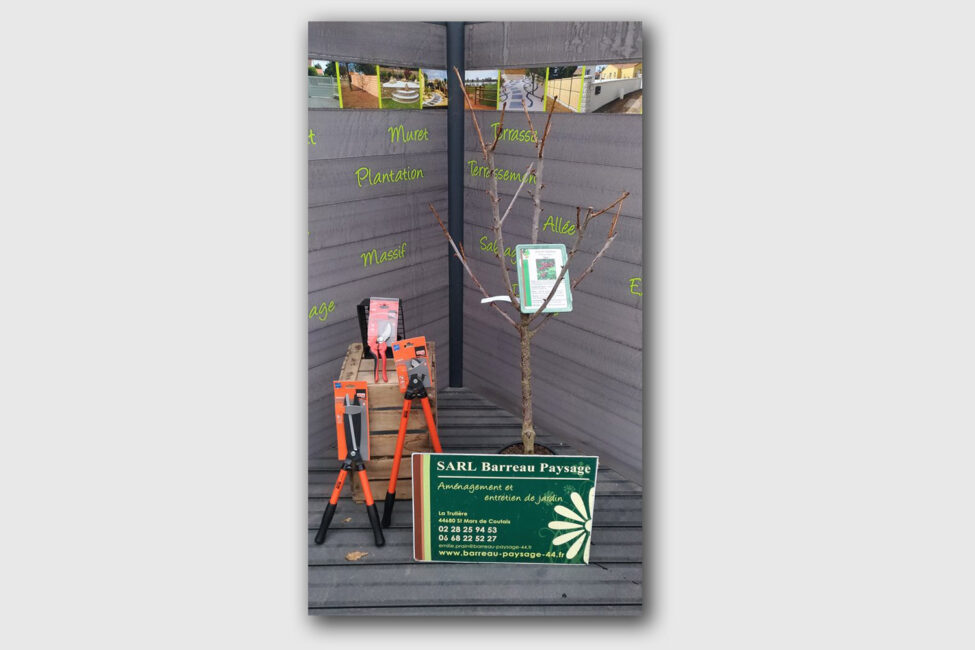 ste pazanne paysagiste bouaye jeu noel 17