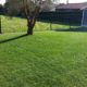 gazon artificiel 44 bouaye paysagiste