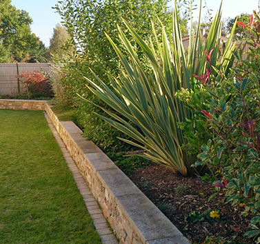 aménagement de jardin Machecoul 44 octobre 2014