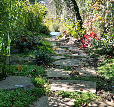 jardin japonais saint mars de coutais après - jardin nantes 44